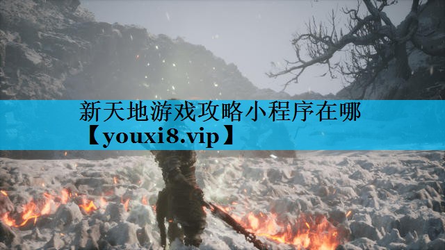 新天地游戏攻略小程序在哪