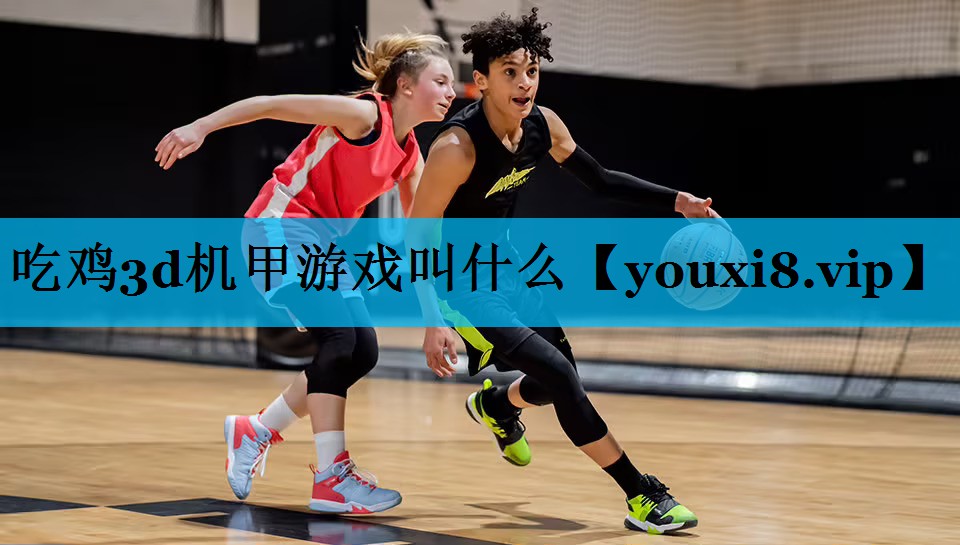 吃鸡3d机甲游戏叫什么